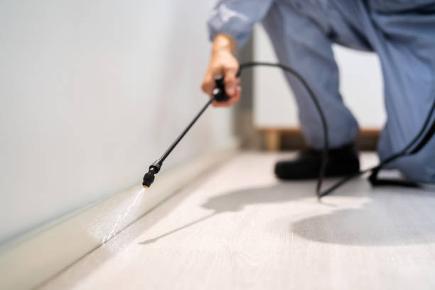Licensed Fumigation Services service in Norton, OH - Nex Pest Control