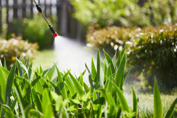 24/7 Emergency Fumigation Services experts in Norton, OH