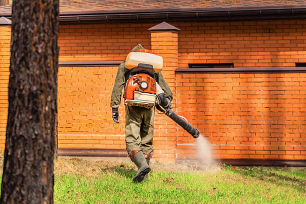 Trusted Bed Bug Control service in Norton, OH - Nex Pest Control